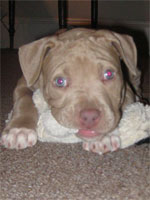 6-weeks-old02
