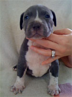6weeks02