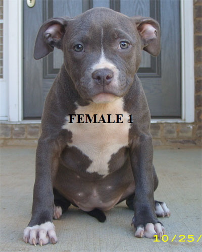 female110